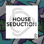 House Seduction Vol 4