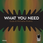 What You Need (Remixes)
