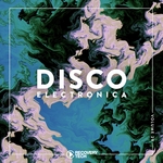 Disco Electronica Vol 29