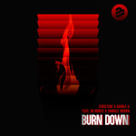Burn Down Radio Edit