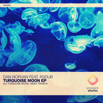 Turquoise Moon/Night Travels