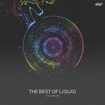 The Best Of Liquid Vol 06