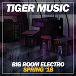 Big Room Electro (Spring '18)