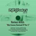 Nite Grooves Remixed EP (Part 5)