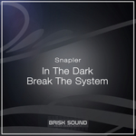 In The Dark/Break The System
