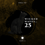 Wicked Waves Vol 25