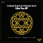 Critical Event & Friends Vol 3 - Like You EP