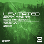 Levitated Radio Top 25: Spring 2018