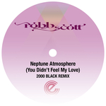 Neptune Atmosphere (You Didn't Feel My Love) (2000 Black Remix)