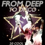 From Deep To Disco