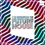 The Definition Of Future House Vol 10