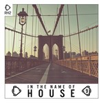 In The Name Of House Vol 9