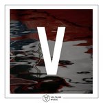 Voltaire Music Presents V