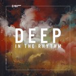 Deep In The Rhythm Vol 17