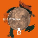 Split Attention