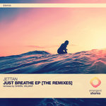Just Breathe (The Remixes)