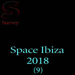 Space Ibiza 2018 (9)