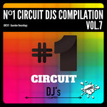 N1 Circuit Djs Compilation Vol 7