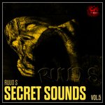 Secret Sounds Vol 5 By Ruud S (Sample Pack WAV)