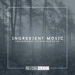 Ingredient Music Vol 12