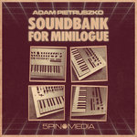 Soundbank For Minilogue (Sample Pack Minilogue Presets)