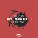 Downtempo Grooves II Exclusive