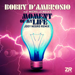 Moment Of My Life (Joey Negro Remix)