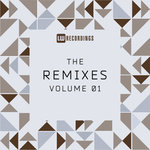 The Remixes Vol 01