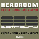 Electronic Ladyland