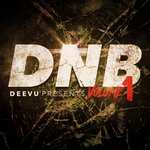 DeeVu DnB Vol 1 (Remixes)
