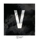 Voltaire Music Presents V