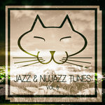 Jazz & Nujazz Tunes Vol 6
