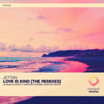 Love Is Kind (The Remixes)