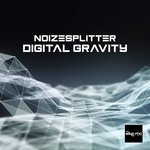 Digital Gravity