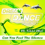 Can You Feel The Silence (Remixes)