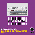 Reworkings By The Deepshakerz Vol 5
