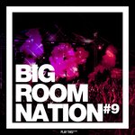 Big Room Nation Vol 9