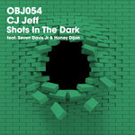 Shots In The Dark