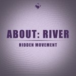 Hidden Movement