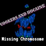 Missing Chromosone (Remixes)
