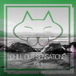 Chill Out Sensations Vol 6