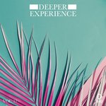 Deeper Experience Vol 17