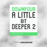 A Little Bit Deeper 2 (Sample Pack WAV)