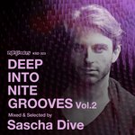 Deep Into Nite Grooves Vol 2