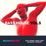 Bass House Vol 5 (Sample Pack WAV)