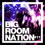 Big Room Nation Vol 11