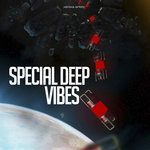 Special Deep Vibes (unmixed tracks)