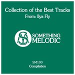 Collection Of The Best Tracks From/Ilya Fly