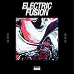 Electric Fusion Vol 6