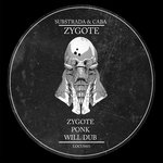 Zygote